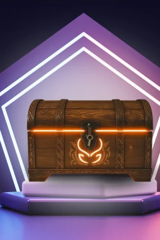 Secret Mystery Box